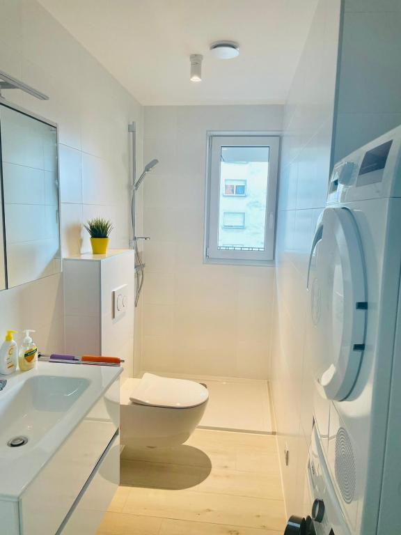 Brand new Listing in City Center with Terrace- 4a — photo 9