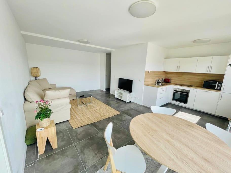 Large 1 bedroom in center with Terrace & Parking – 67B — photo 5