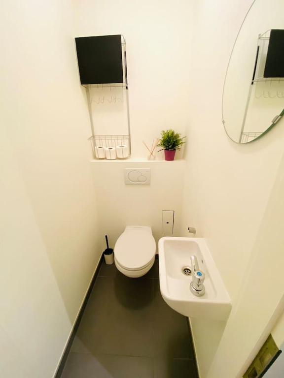 Large 3 bedrooms in Center with Terraces & Parking – ROL1 — photo 22