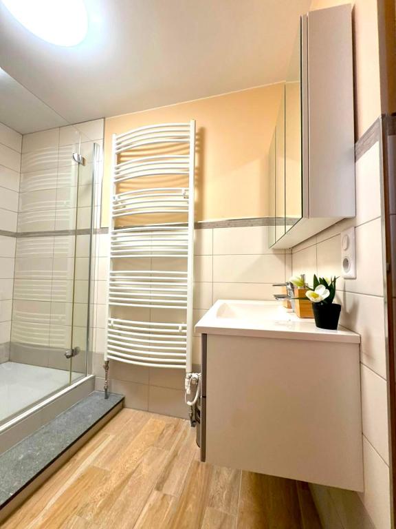 Spacious 1 bedroom with 4 beds in Luxembourg City-BON45B — photo 15