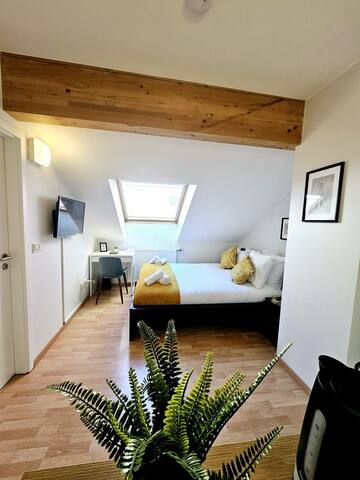 Compact Studio in Luxembourg-Limp17B — photo 4
